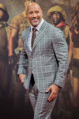Dwayne Johnson Poster 2979071
