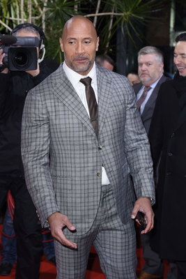 Dwayne Johnson Poster 2979103