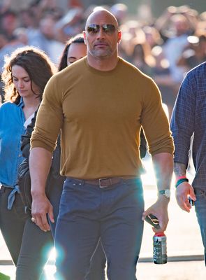 Dwayne Johnson Poster 3220504