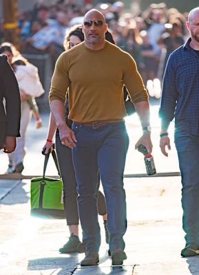 Dwayne Johnson Poster 3220508
