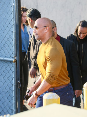 Dwayne Johnson Poster 3220519