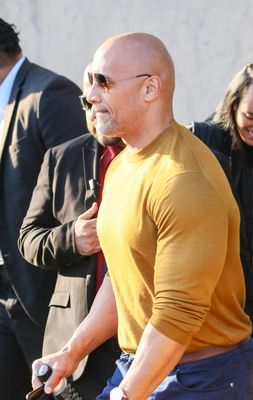Dwayne Johnson Poster 3220528