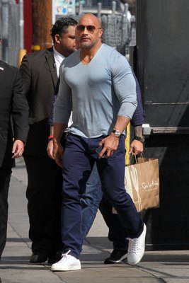 Dwayne Johnson Poster 3220538