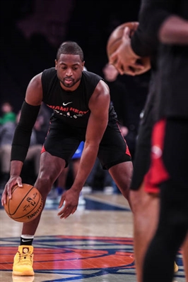 Dwyane Wade Poster 3453774