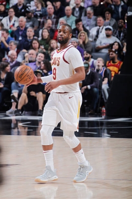 Dwyane Wade Poster 3453835