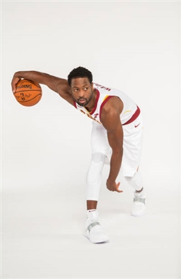 Dwyane Wade Poster 3453876