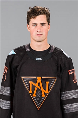 Dylan Larkin Poster 3554780