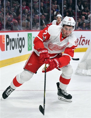 Dylan Larkin Poster 3554786