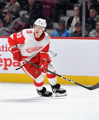 Dylan Larkin Poster 3554794