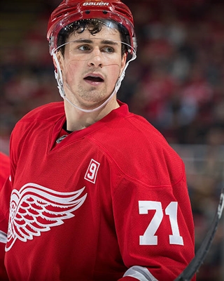 Dylan Larkin Poster 3554803