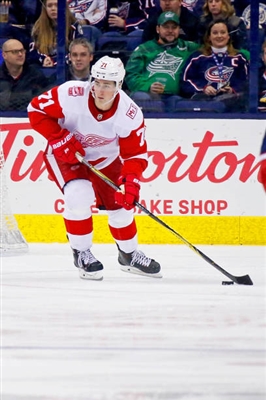 Dylan Larkin Poster 3554805