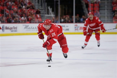 Dylan Larkin Poster 3554810