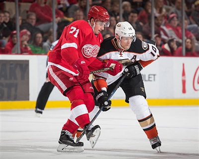 Dylan Larkin Poster 3554813