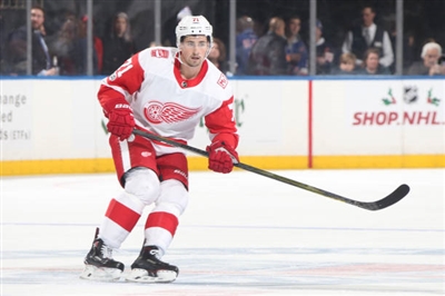 Dylan Larkin Poster 3554817