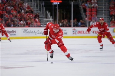 Dylan Larkin Poster 3554821