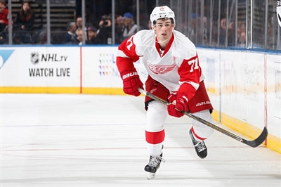 Dylan Larkin Poster 3554822