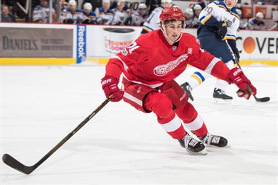 Dylan Larkin Poster 3554824