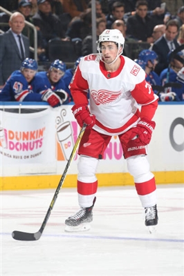 Dylan Larkin Poster 3554832