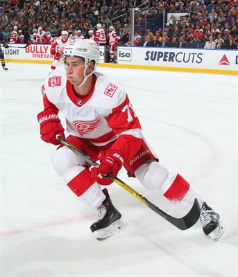 Dylan Larkin Poster 3554843