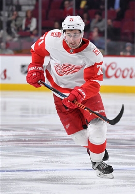 Dylan Larkin Poster 3554845