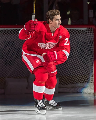 Dylan Larkin Poster 3554846