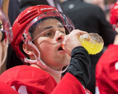 Dylan Larkin Poster 3554853