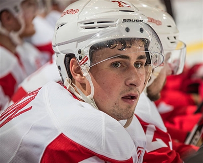 Dylan Larkin Poster 3554857