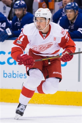 Dylan Larkin Poster 3554858