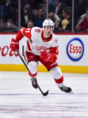 Dylan Larkin Poster 3554875