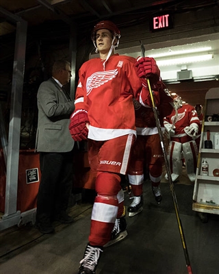 Dylan Larkin Poster 3554880