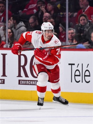 Dylan Larkin Poster 3554883