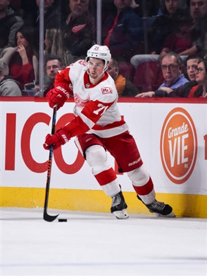 Dylan Larkin Poster 3554886