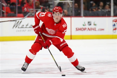 Dylan Larkin Poster 3554887