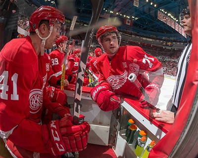 Dylan Larkin Poster 3554899