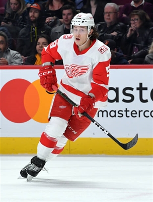 Dylan Larkin Poster 3554900