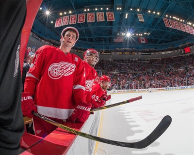 Dylan Larkin Poster 3554902