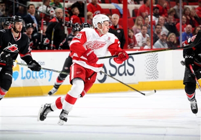 Dylan Larkin Poster 3554907