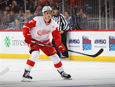 Dylan Larkin Poster 3554915