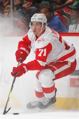 Dylan Larkin Poster 3554916