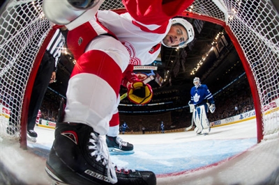 Dylan Larkin Poster 3554918