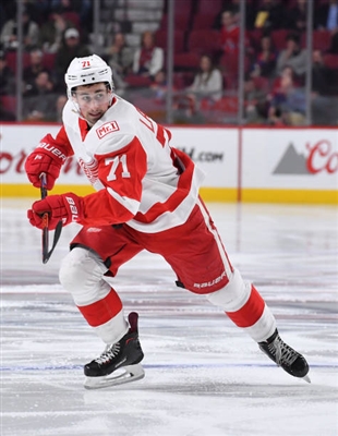Dylan Larkin Poster 3554919