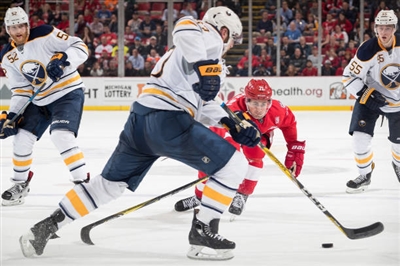 Dylan Larkin Poster 3554925