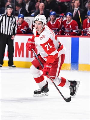 Dylan Larkin Poster 3554930