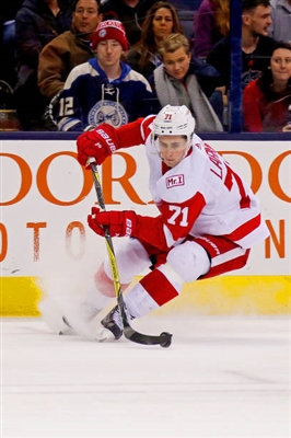 Dylan Larkin Poster 3554937