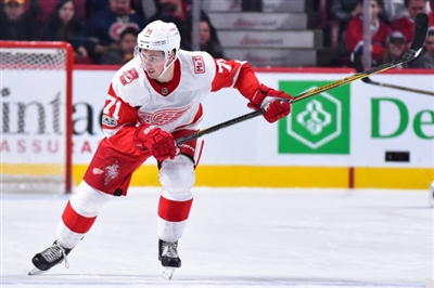 Dylan Larkin Poster 3554940