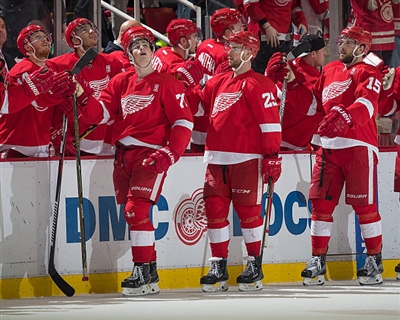 Dylan Larkin Poster 3554950