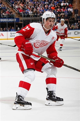 Dylan Larkin Poster 3554954