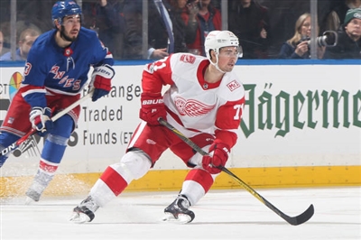 Dylan Larkin Poster 3554956