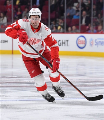 Dylan Larkin Poster 3554958