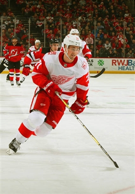 Dylan Larkin Poster 3554964